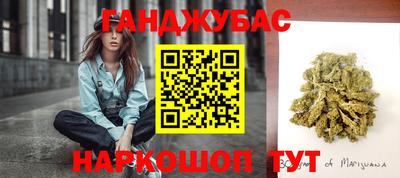 шишки Гусь-Хрустальный