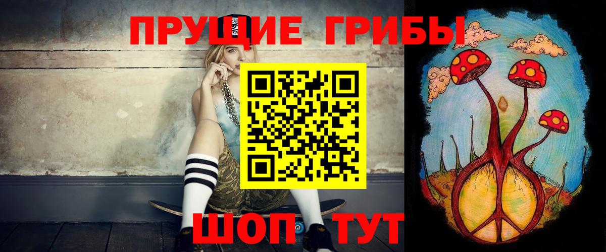 Псилоцибиновые грибы GOLDEN TEACHER  Вход с VPN  Выкса 